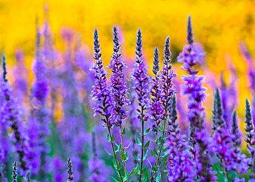 恶搞射击《肌肉巨人》上架Steam 爽快战斗